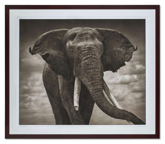 Nick Brandt (né en 1964) - Foto 1