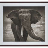 Nick Brandt (né en 1964) - Foto 1