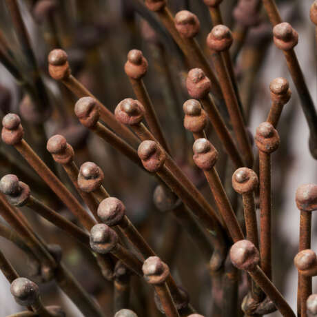 HARRY BERTOIA (1915-1978) - photo 3