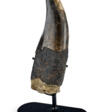 A LARGE TYRANNOSAURUS REX TOOTH - Now at the auction