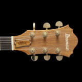 IBANEZ, NAGOYA, JAPAN, CIRCA 1980 - photo 6