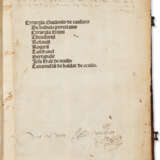 Chirurgia, and other texts - photo 2