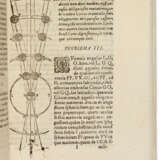 Medicaeorum ephemerides - Foto 3