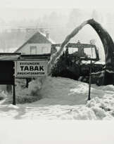 Gerald Domenig. Untitled