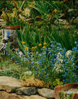 Christine und Irene Hohenbüchler. Wachau