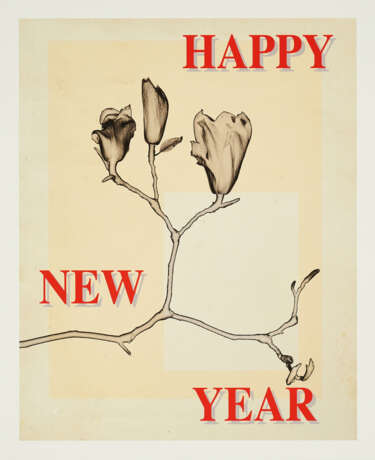 Thomas Ruff. Happy New Year - photo 1