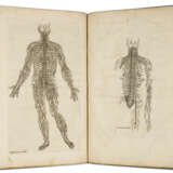 Compendiosa totius Anatomie delineatio - фото 1