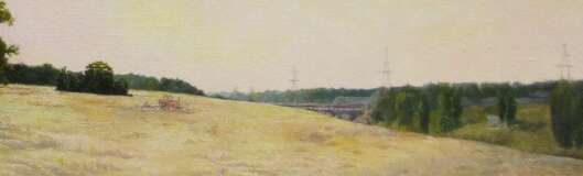 Летний вечер. После купания. Canvas on the subframe Oil paint Realism Summer landscape Byelorussia 2006 - photo 3