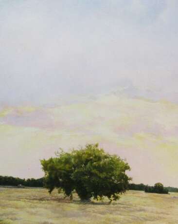 Летний вечер. После купания. Canvas on the subframe Oil paint Realism Summer landscape Byelorussia 2006 - photo 6