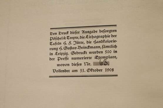 Das Nürnbergische Schönbartbuch - Foto 3