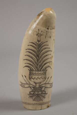 Scrimshaw - Foto 2