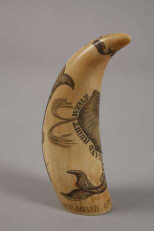 Drei Scrimshaw - photo 3