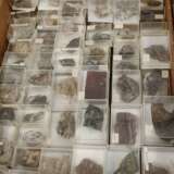 Umfangreiche Mineraliensammlung Odenwald - Foto 2