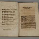 Reuß-Plauische Stamm-Tafel 1684 - photo 4