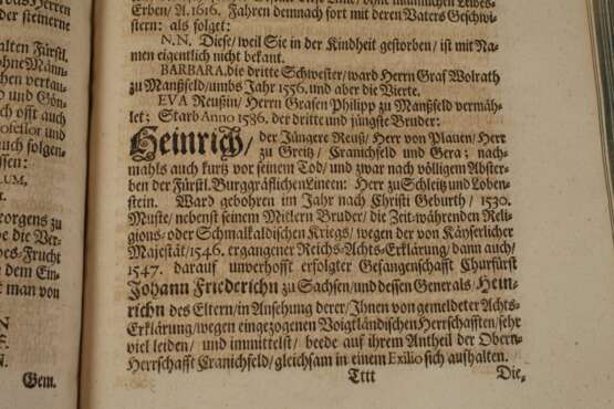 Reuß-Plauische Stamm-Tafel 1684 - photo 8