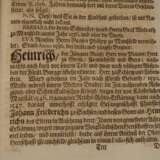 Reuß-Plauische Stamm-Tafel 1684 - photo 8