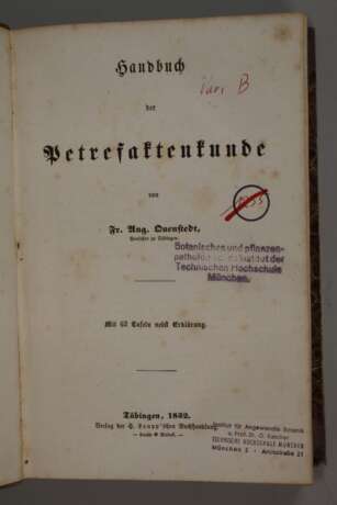 Handbuch der Petrefaktenkunde - photo 2