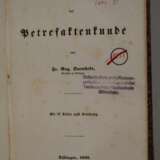 Handbuch der Petrefaktenkunde - photo 2