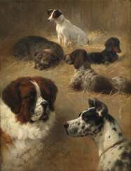 Heinrich Sperling, Hundeportraits