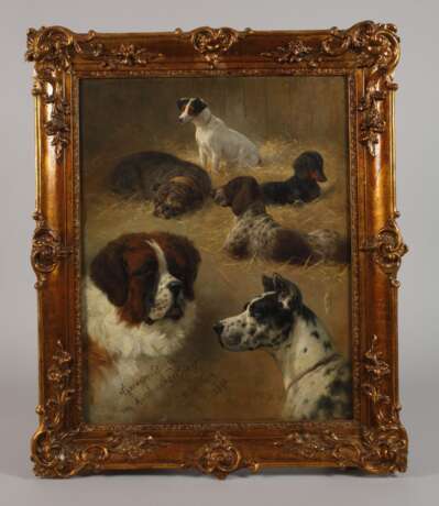 Heinrich Sperling, Hundeportraits - photo 2