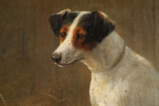 Heinrich Sperling, Hundeportraits - photo 4