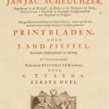 Scheuchzer, J. J. - photo 5