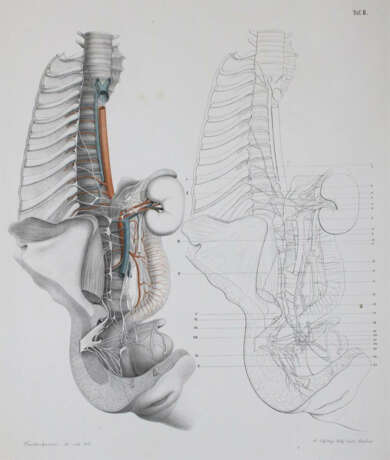 Frankenhaeuser, F. - photo 1