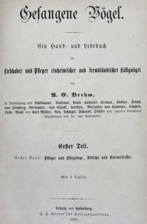 Brehm, A. E. - Foto 2