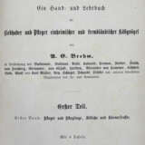 Brehm, A. E. - Foto 2