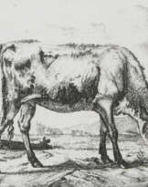 Velde, Adriaen van de