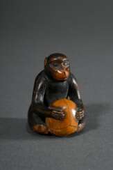 Buchsbaum Netsuke &quot;Sitzender Affe mit Schädel&quot;, eingelegte Hornaugen, schöne Gebrauchspatina, H. 4,4cm, Füße verloren, Provenienz: Dr. Eduard Hallier (1866-1959, Weltreise 1901-1903)