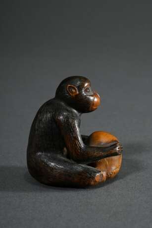 Buchsbaum Netsuke "Sitzender Affe mit Schädel", eingelegte Hornaugen, schöne Gebrauchspatina, H. 4,4cm, Füße verloren, Provenienz: Dr. Eduard Hallier (1866-1959, Weltreise 1901-1903) - Foto 2