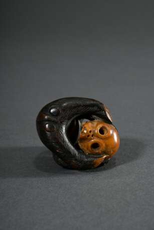 Buchsbaum Netsuke "Sitzender Affe mit Schädel", eingelegte Hornaugen, schöne Gebrauchspatina, H. 4,4cm, Füße verloren, Provenienz: Dr. Eduard Hallier (1866-1959, Weltreise 1901-1903) - Foto 4