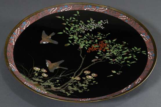 Großer Cloisonné Teller "Vögel und Sträucher mit Beeren und Blumen" auf schwarzem Grund, Rand mit Glyzinien, Meiji Zeit, Ø 50,5cm, Gebrauchsspuren - фото 1