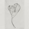 Herbert Zangs. Untitled (Gingko leaf) - Now at the auction