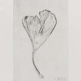 Herbert Zangs. Untitled (Gingko leaf) - photo 1