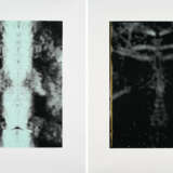 Sigmar Polke. Untitled (Spiegelung I and Spiegelung II) - photo 1