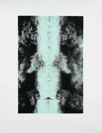 Sigmar Polke. Untitled (Spiegelung I and Spiegelung II) - photo 4