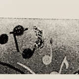 Sigmar Polke. Hopp/Topp - photo 4