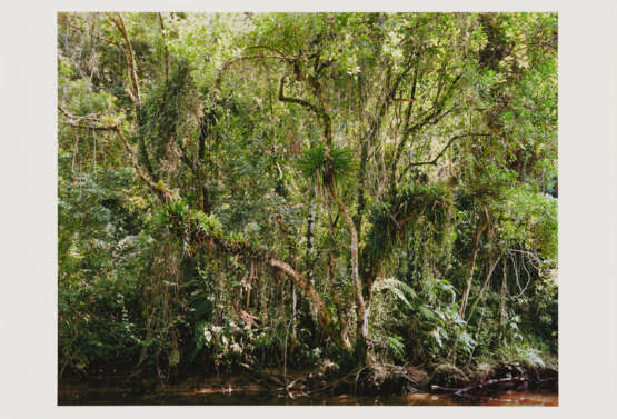 Thomas Struth. Paradies - photo 2