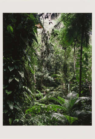 Thomas Struth. Paradies - photo 5