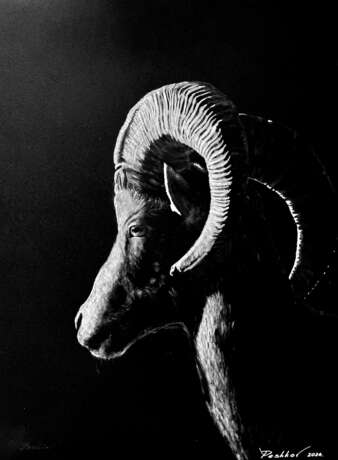 Mouflon Paper Drybrush Realism животные в природе Cyprus 2024 - photo 1