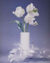 Martin Klimas. Tulipa VII