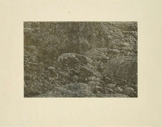 Franz Gertsch. Cima del Mar (Detail 9) - photo 1