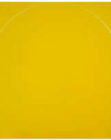 IAN DAVENPORT (B. 1966)