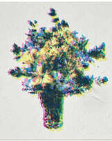 ANALIA SABAN (B. 1980)