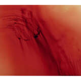 WOLFGANG TILLMANS (B. 1968) - photo 1