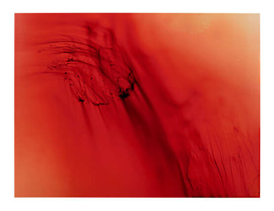 WOLFGANG TILLMANS (B. 1968) - photo 1