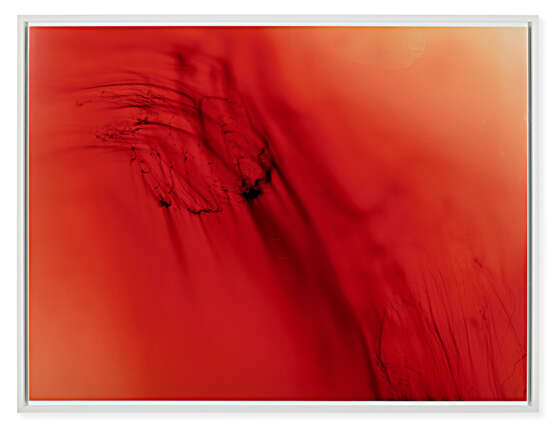 WOLFGANG TILLMANS (B. 1968) - photo 2