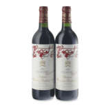 Château Mouton Rothschild 1995 - photo 1